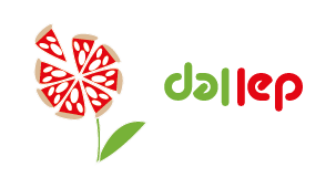 Dal Lep Quality Pizza